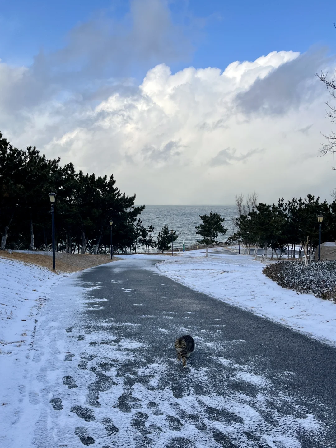 威海 | 本人的看雪攻略没有对手（纯干货版）