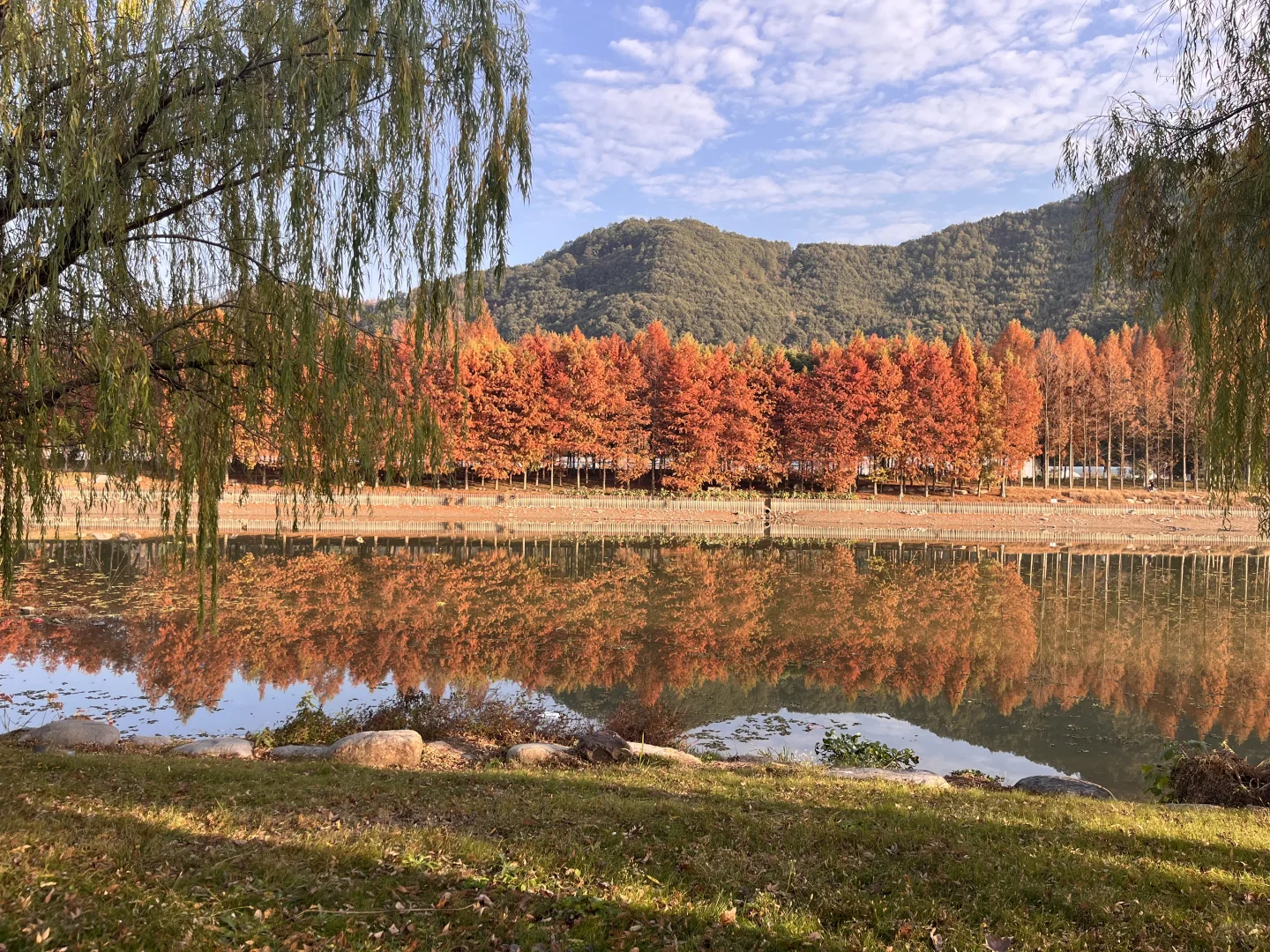 灵湖，我愿在这度过春夏秋冬🍁