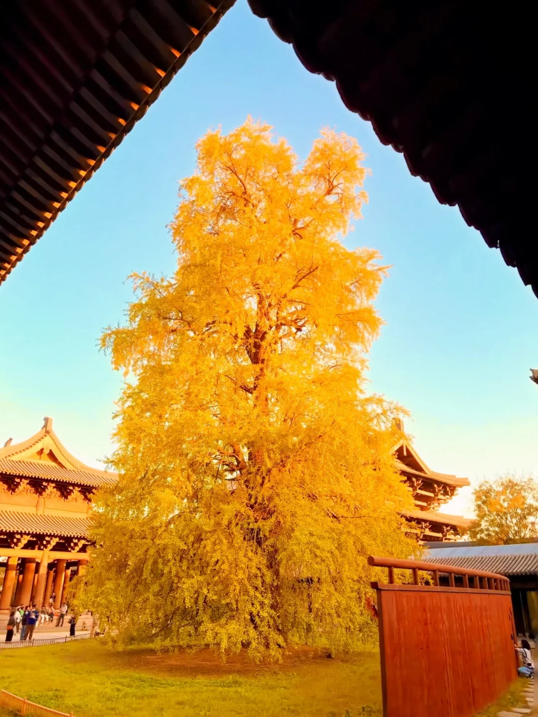 我很少用震撼来形容一个地方！！！！！！！！！！！！