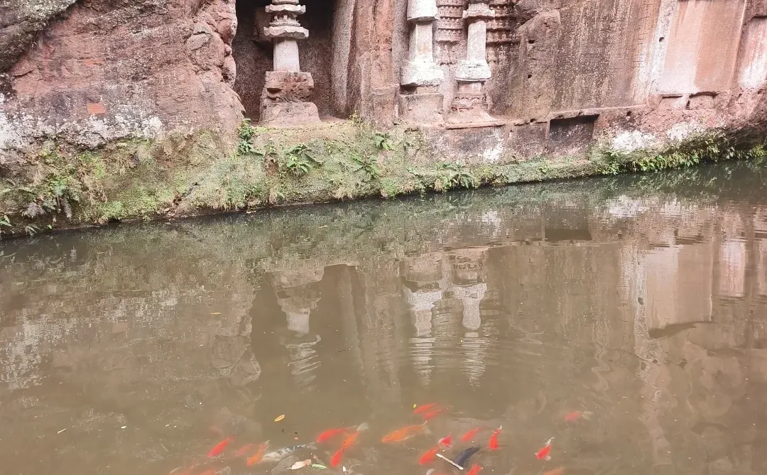 成都大巴💰14.9直达，青神1日游攻略