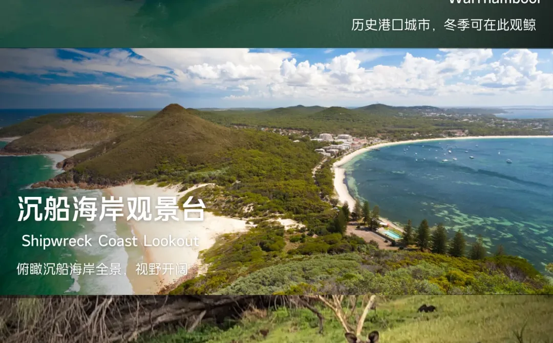 大洋路景点排名榜🌊没去对等于白来墨尔本来