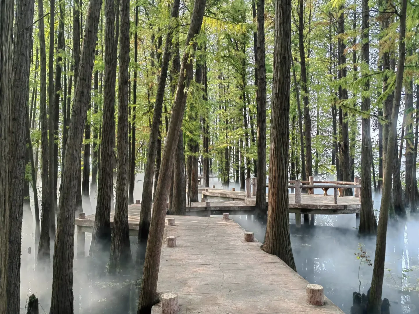 武汉东湖落雁景区旅游攻略