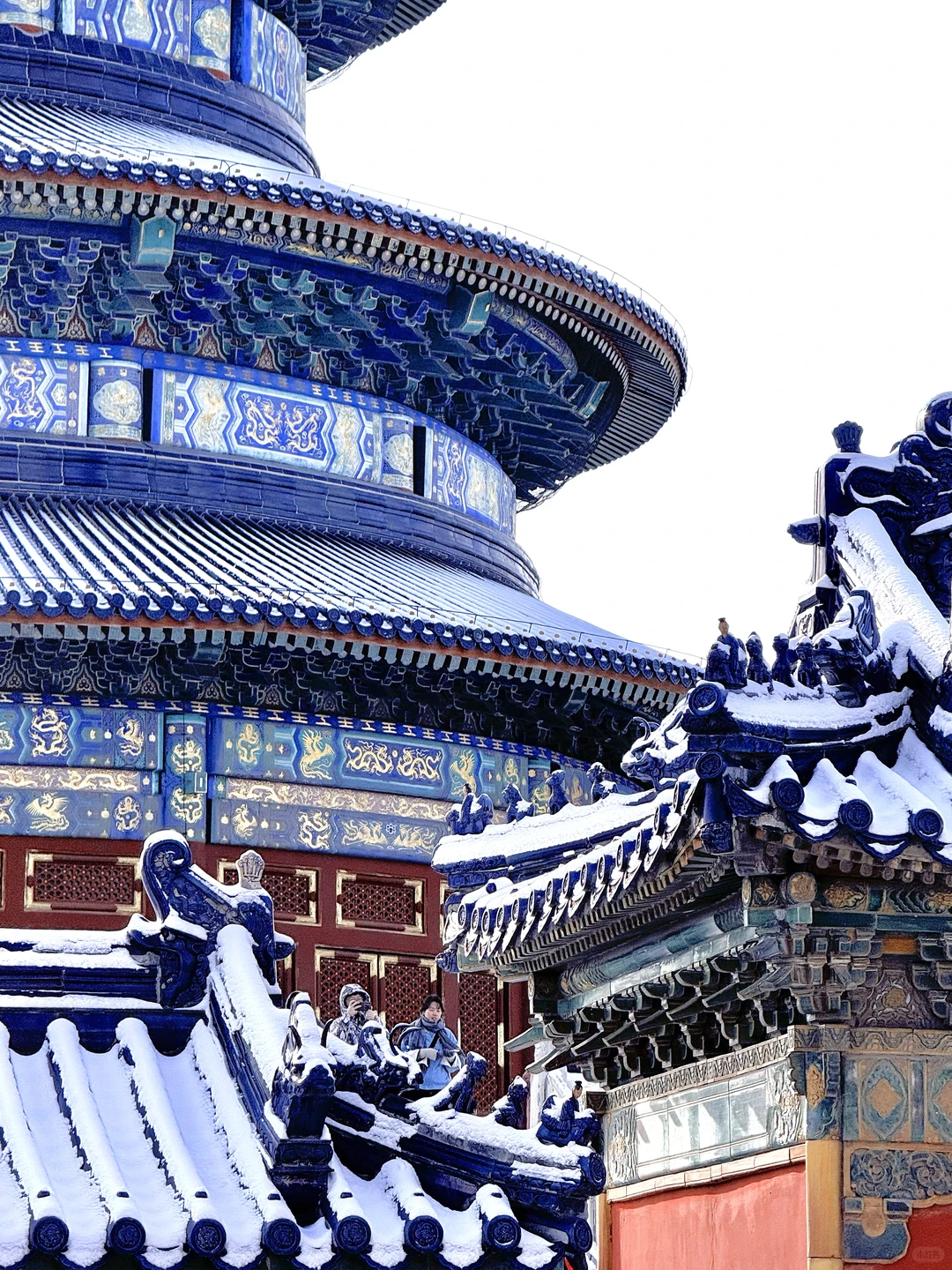 12.13📍北京天坛杀疯了啊啊啊啊啊啊啊啊