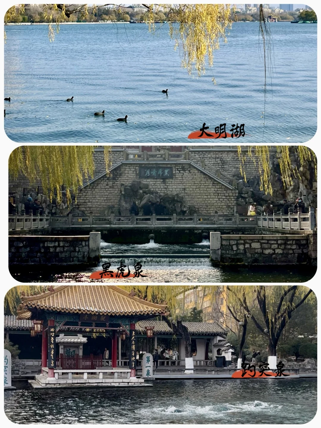 济南 躺平式 带娃旅游攻略（附行程）