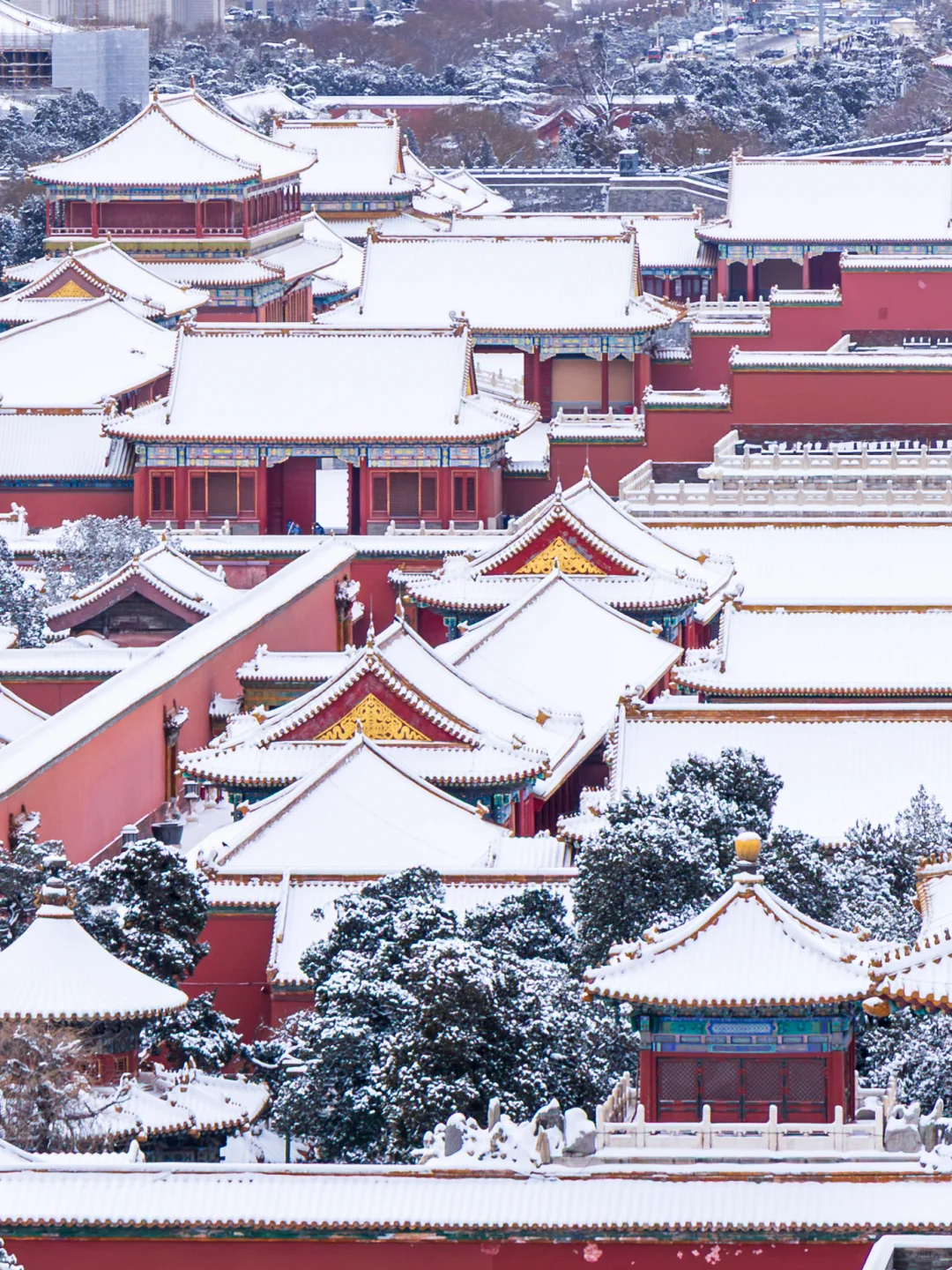 大雪后~约不上故宫的都给我去景山！