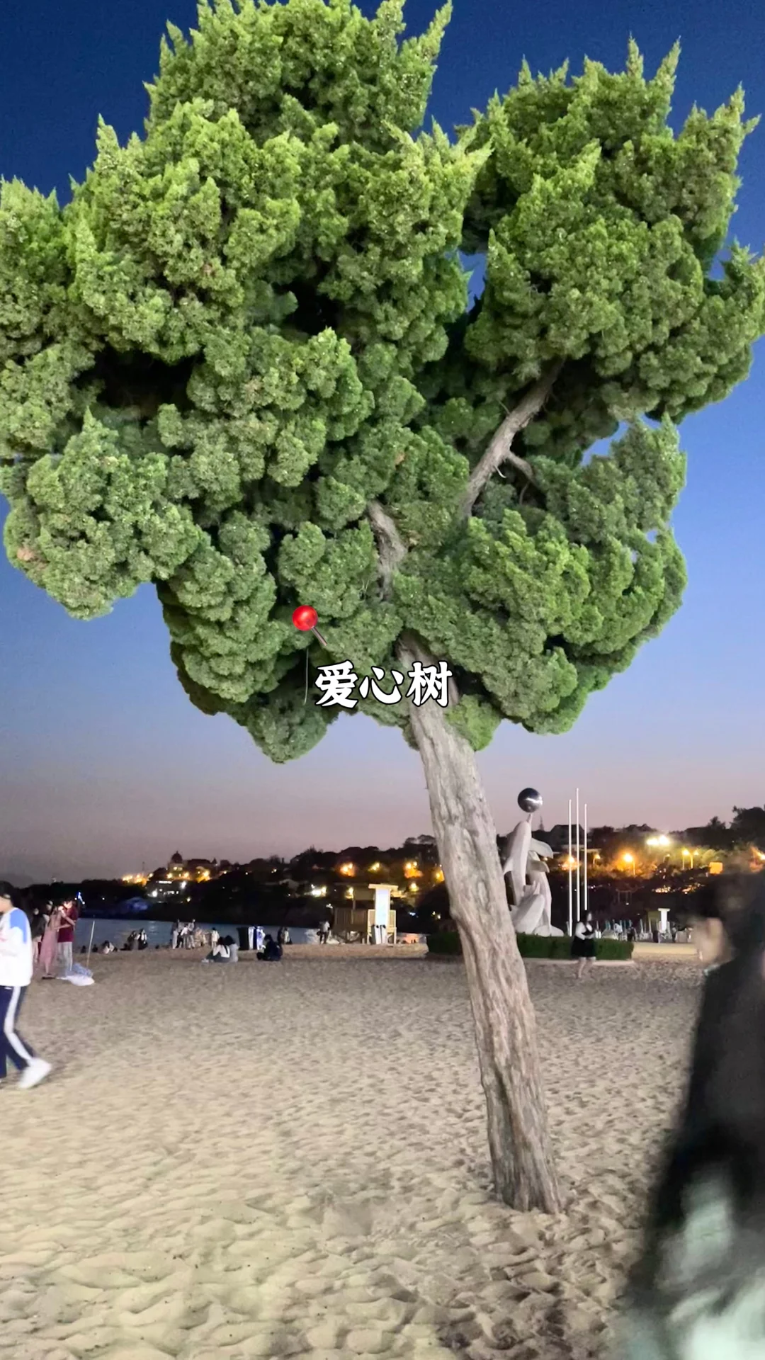 🌊青岛私藏｜9大必打卡景点 旅游前速码✅