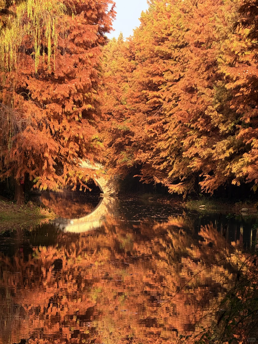 这么美的景点竟然不收费（附地图攻略）