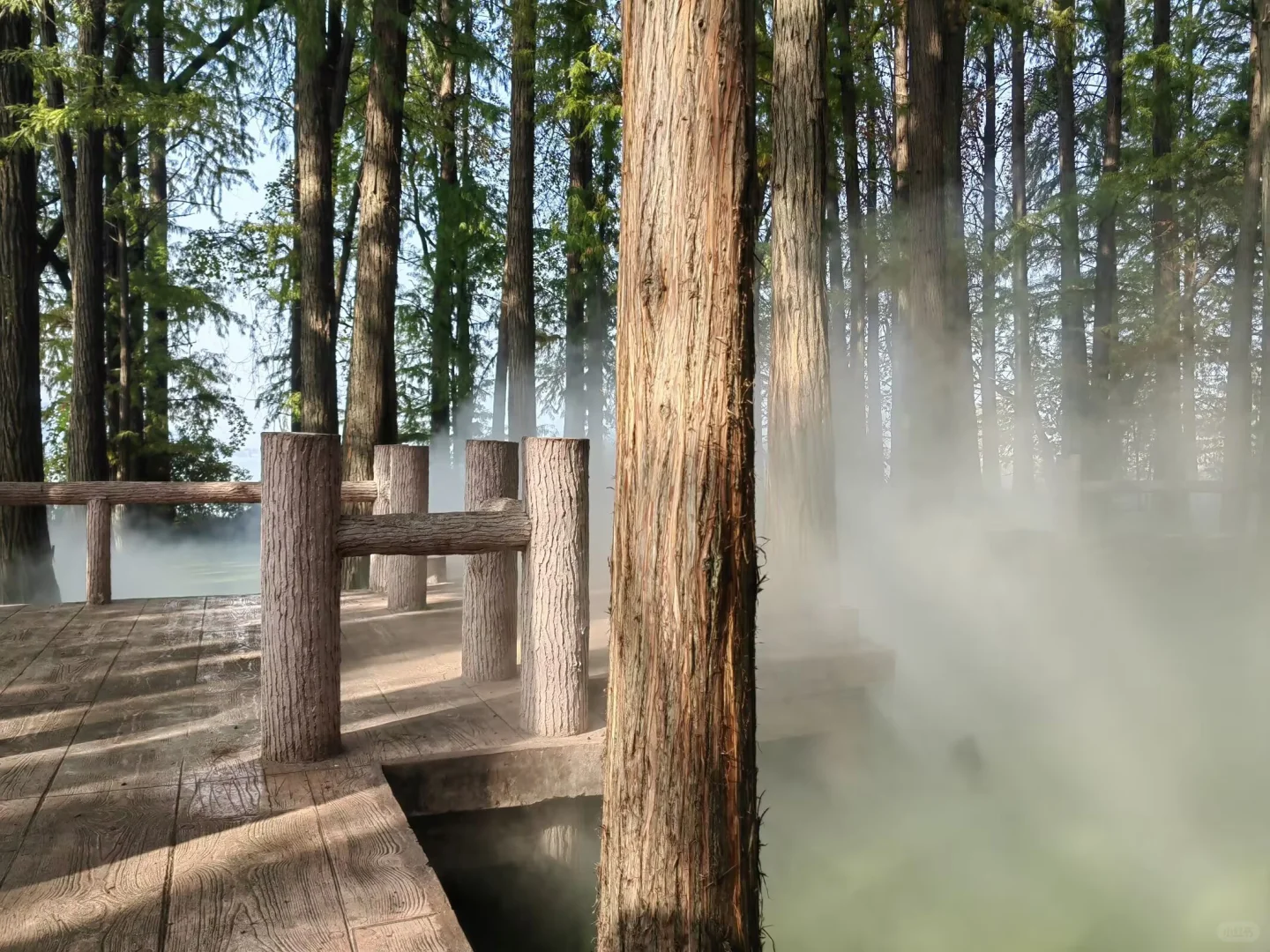 武汉东湖落雁景区旅游攻略