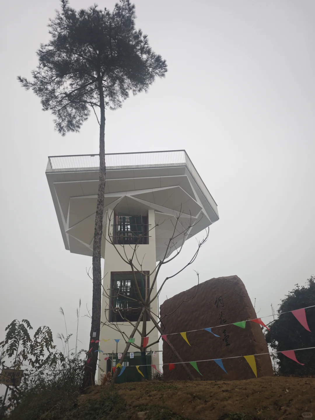 山顶的风景得自己去看看·蒲江长秋山