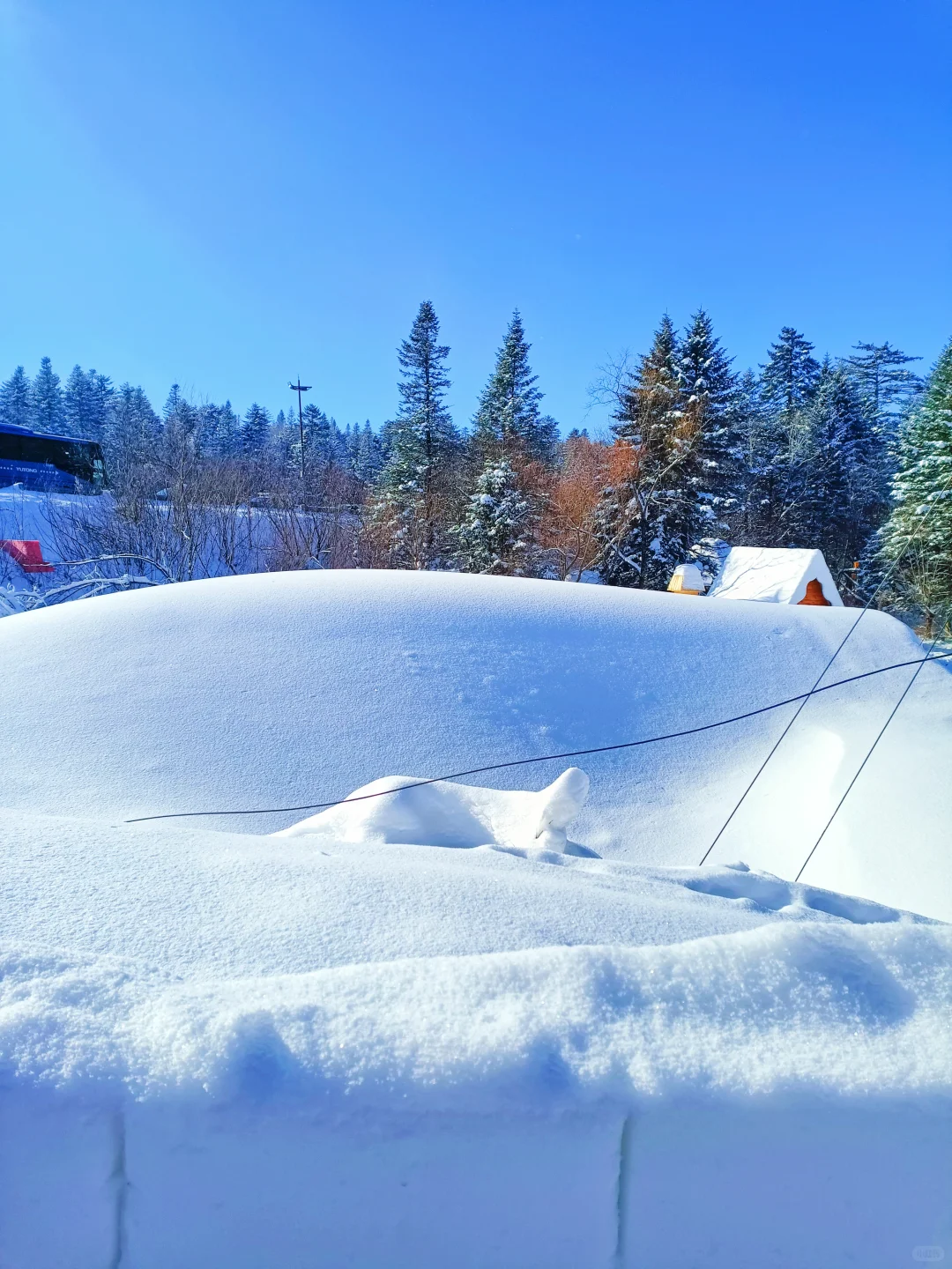 童话木屋|我找到了长白山免费小众景区！