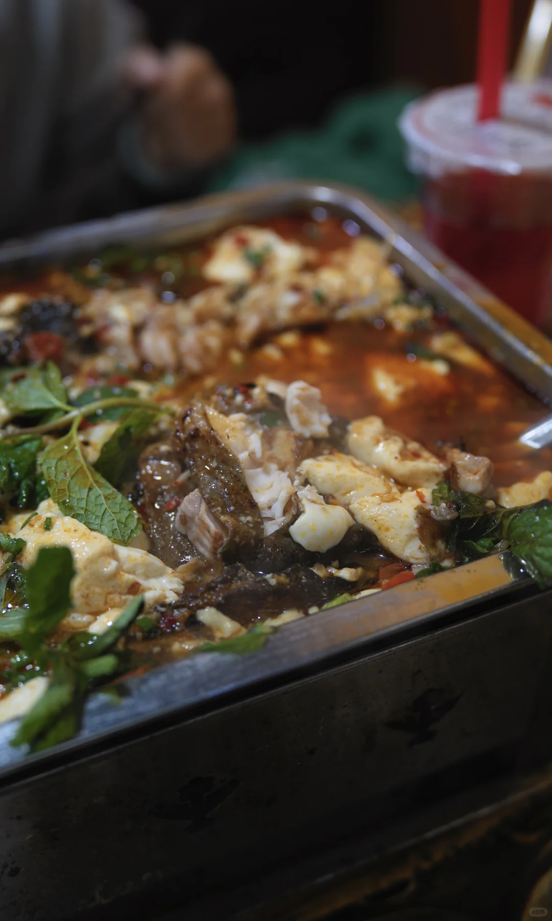 淡季荔波小七孔，人间绿宝石美的实在权威