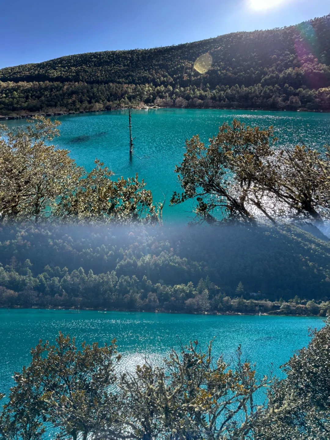 🏔️玉龙雪山想要每个景点都玩的看这里