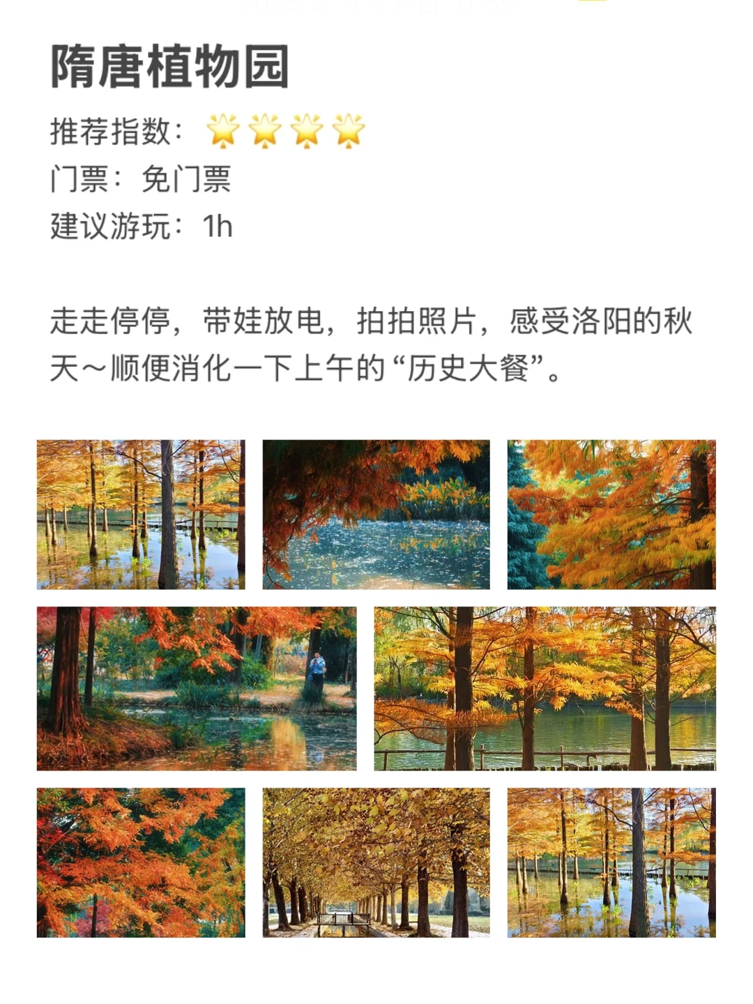 【洛阳】5大必去景点参观指北（人均200+）