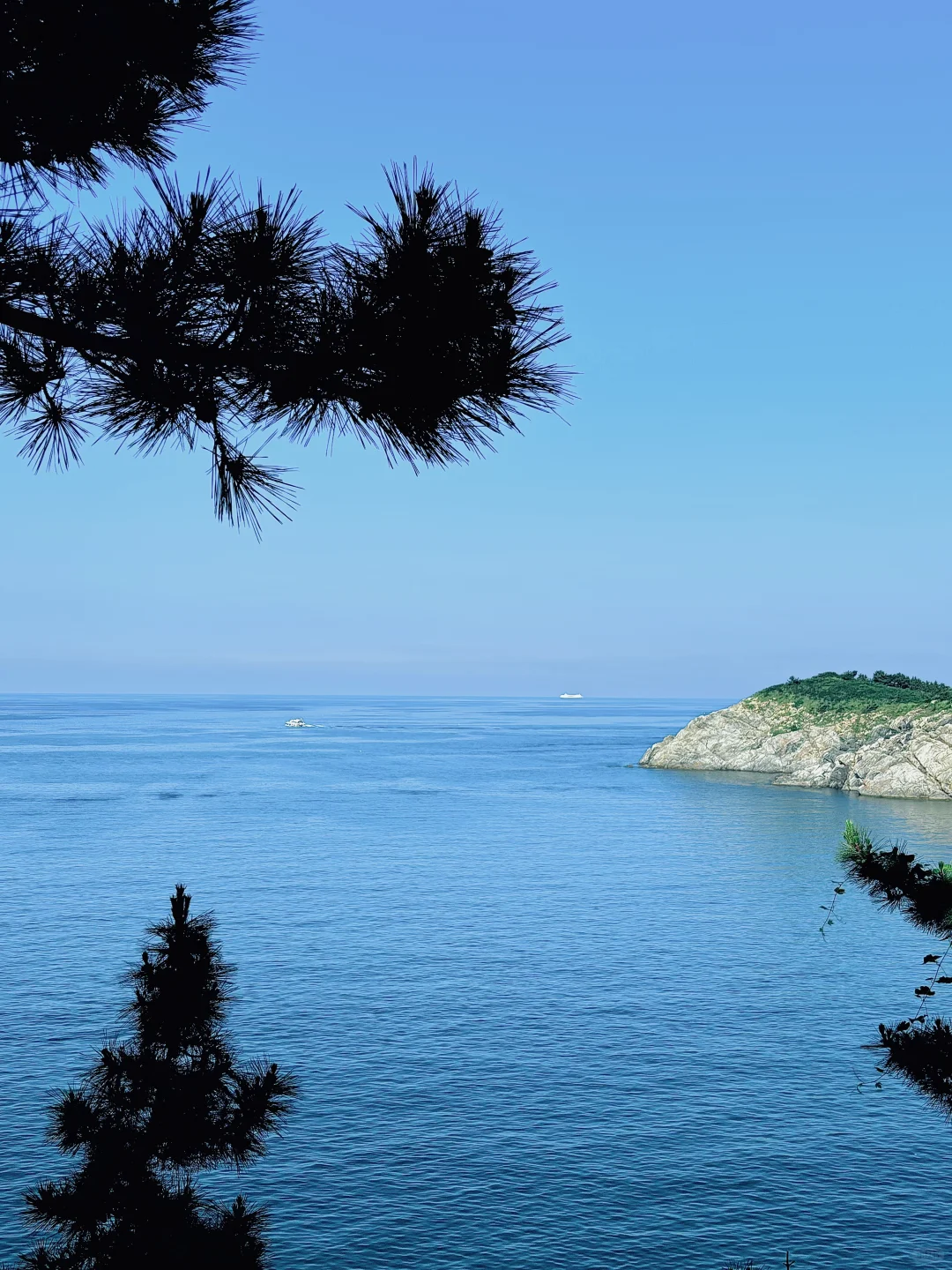 一些威海の𝙡𝙞𝙫𝙚库存🌊