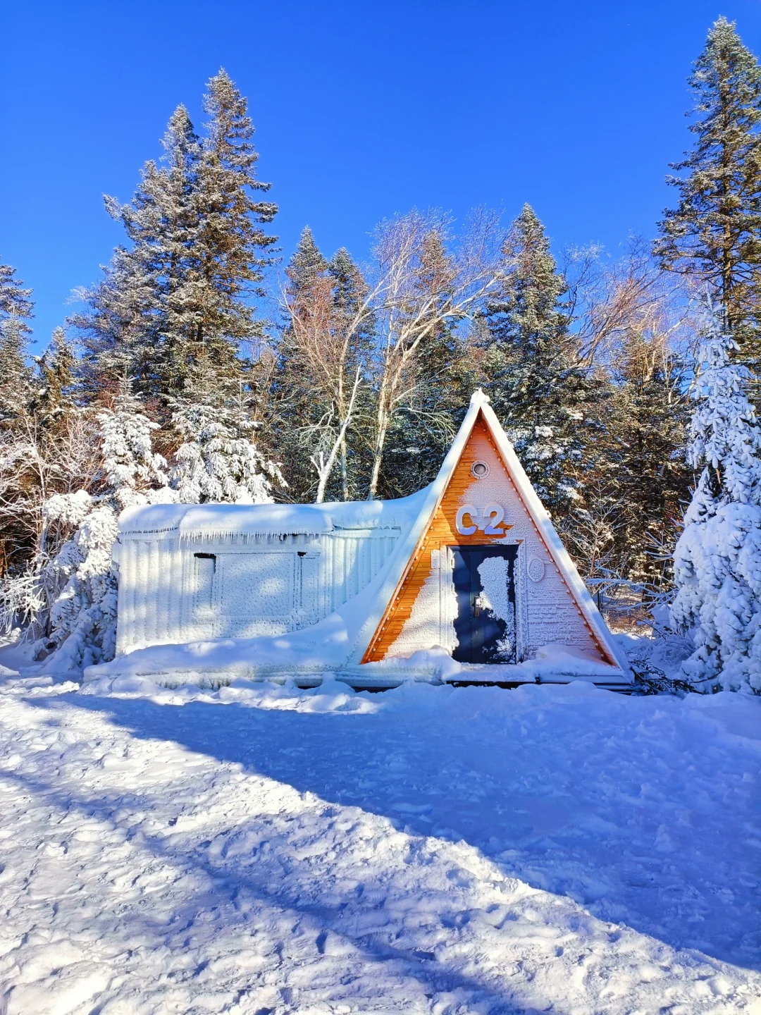 童话木屋|我找到了长白山免费小众景区！