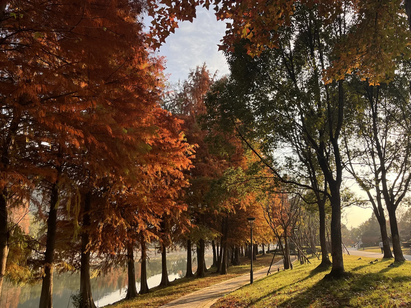 灵湖，我愿在这度过春夏秋冬🍁