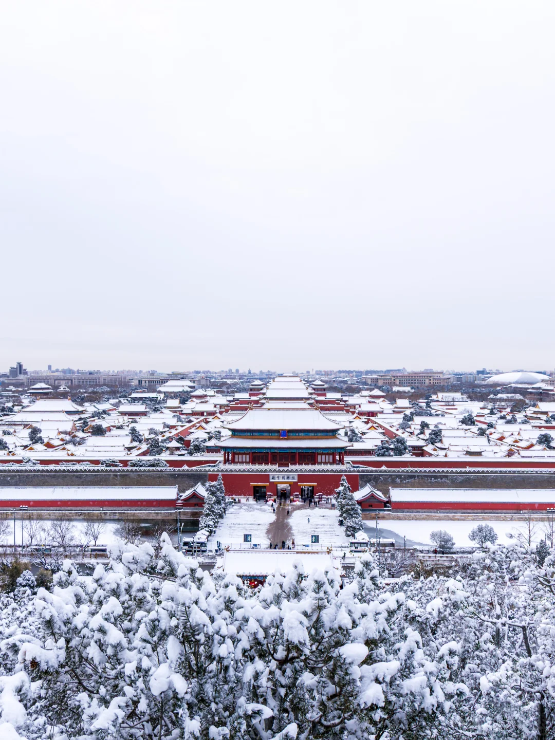 大雪后~约不上故宫的都给我去景山！