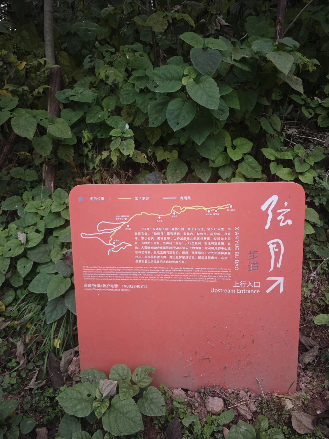 山顶的风景得自己去看看·蒲江长秋山