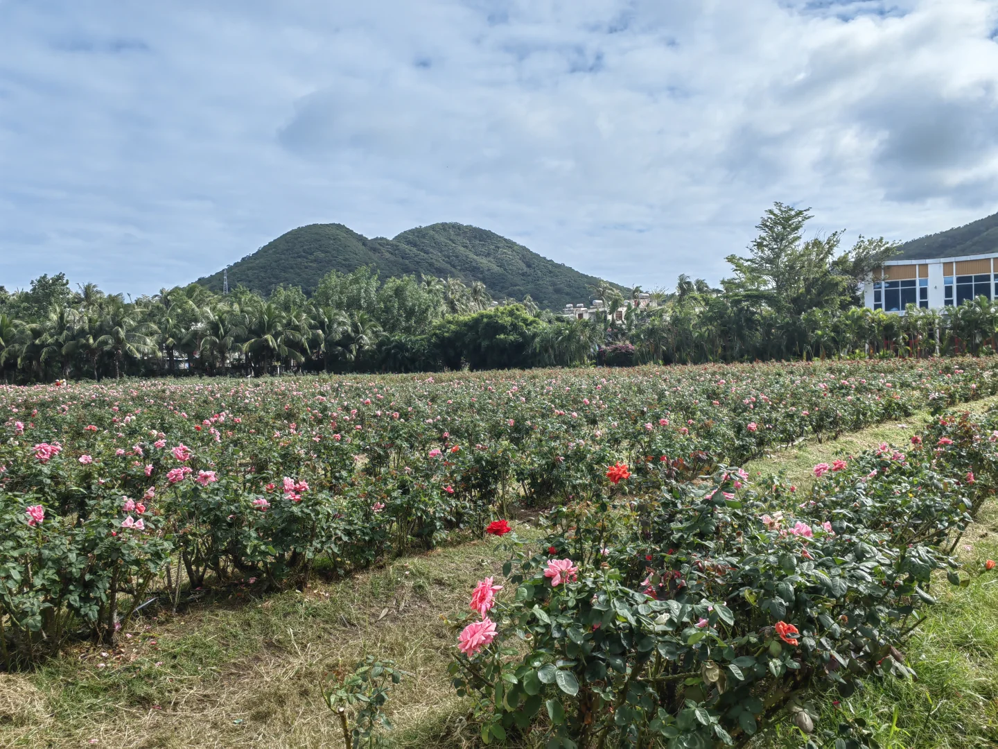 海南环岛跟团游part1