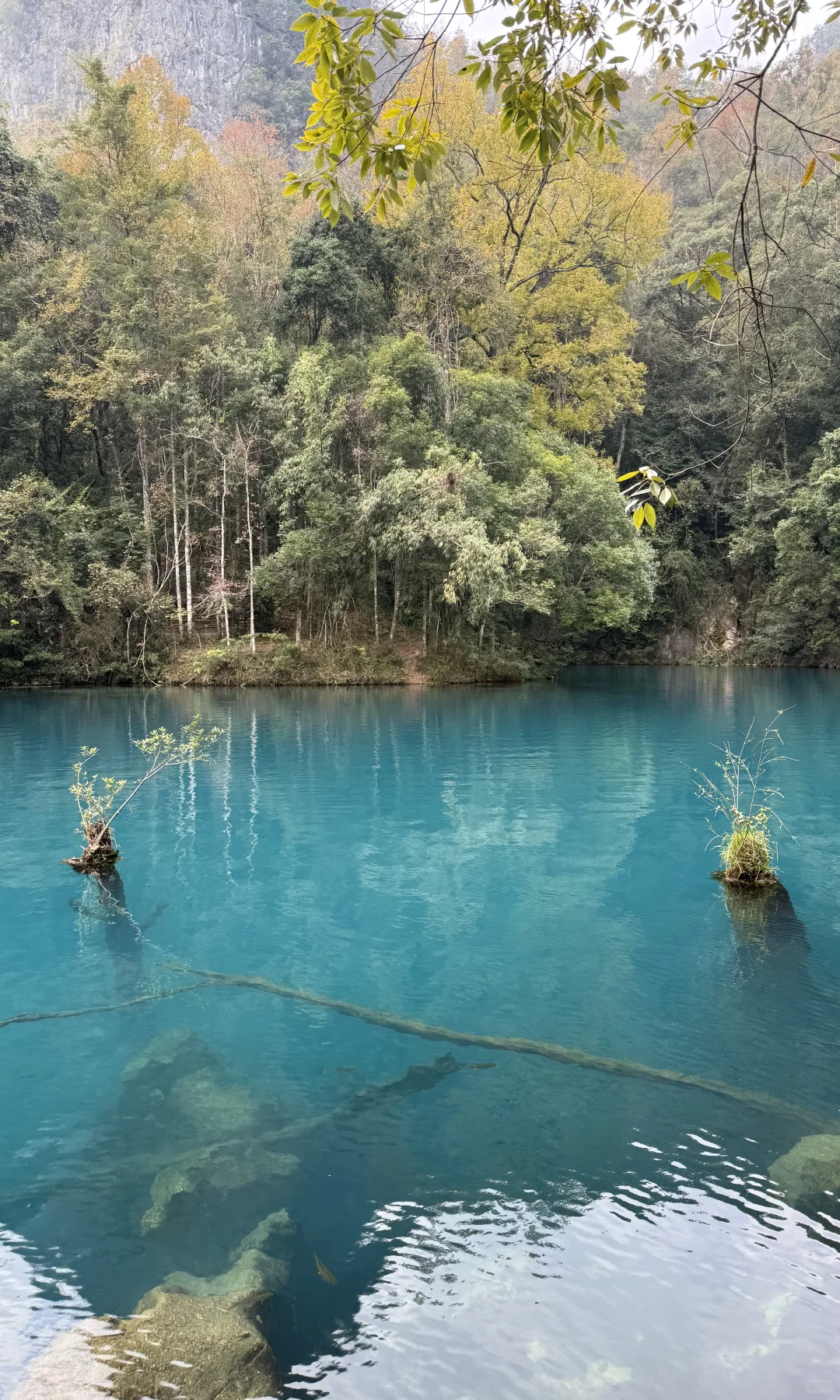 淡季荔波小七孔，人间绿宝石美的实在权威