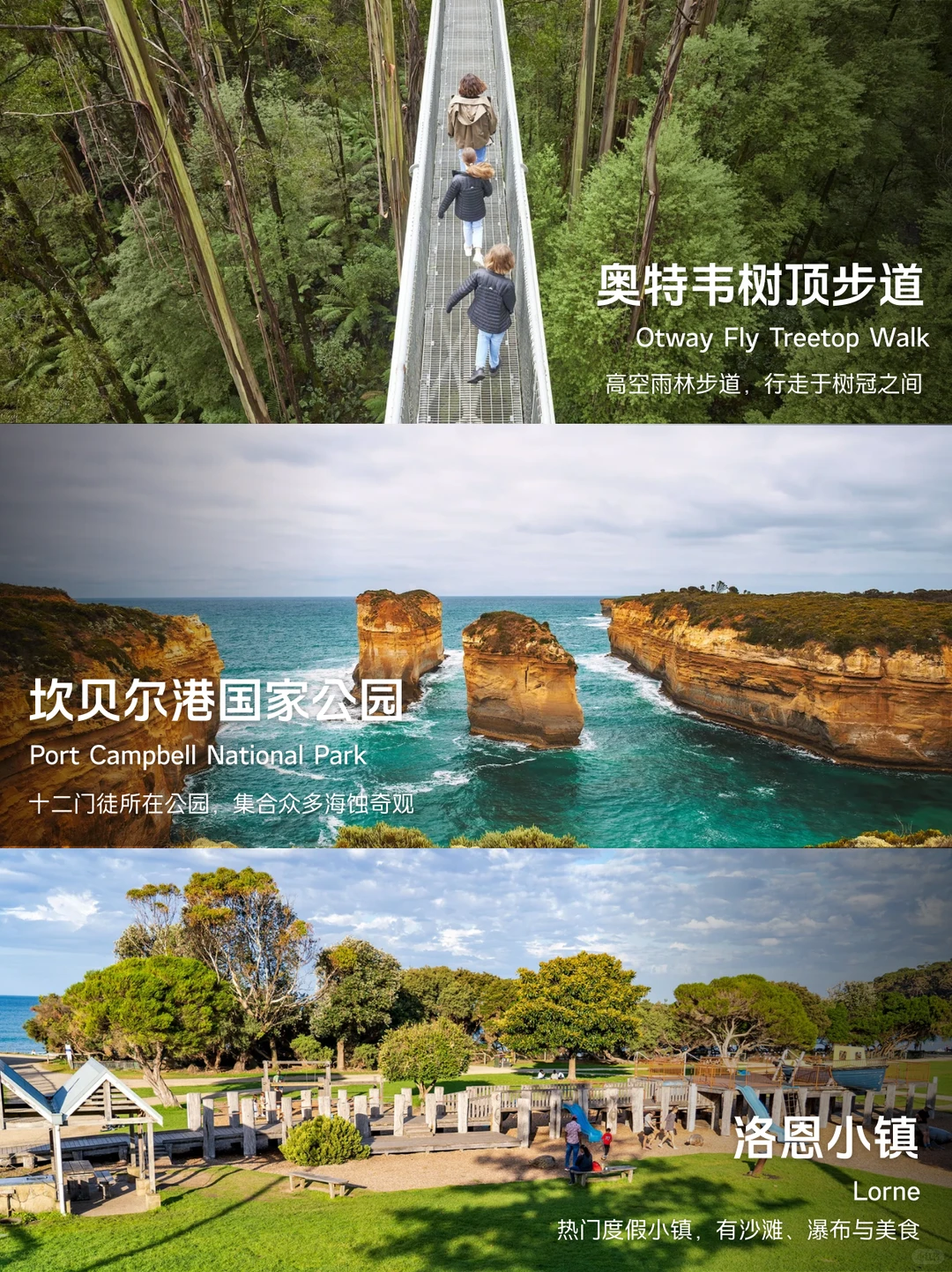 大洋路景点排名榜🌊没去对等于白来墨尔本来