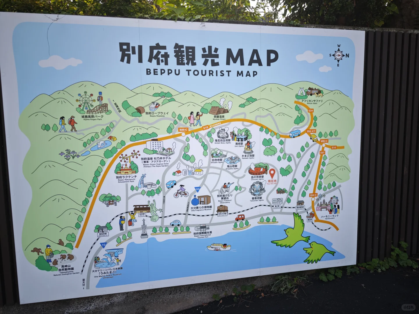 【别府碎片】村里超市物价，房租，景点小记