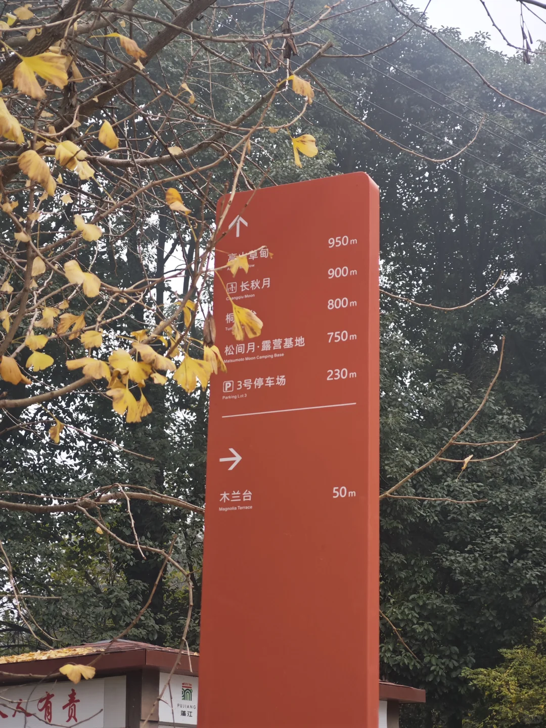 山顶的风景得自己去看看·蒲江长秋山