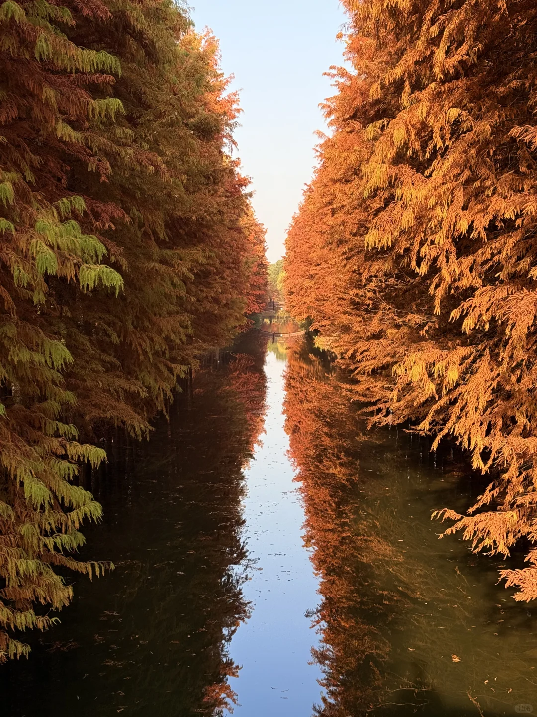 这么美的景点竟然不收费（附地图攻略）