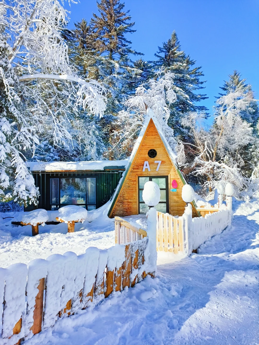 童话木屋|我找到了长白山免费小众景区！