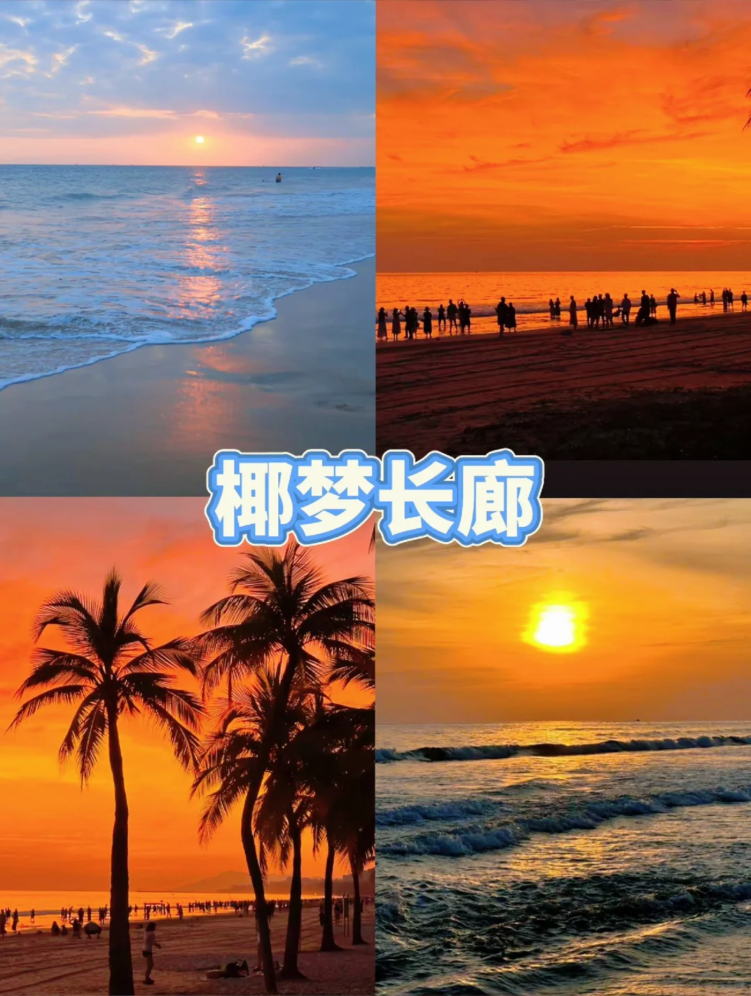 三亚避坑指南！景点美食纯干货🌊