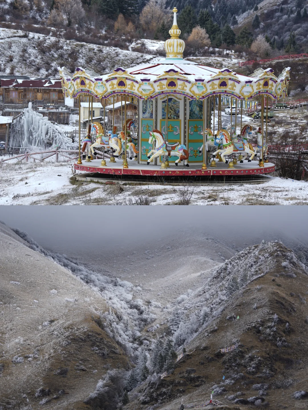 成都出发3.5h!在鹧鸪山找到《情书》同款冬日