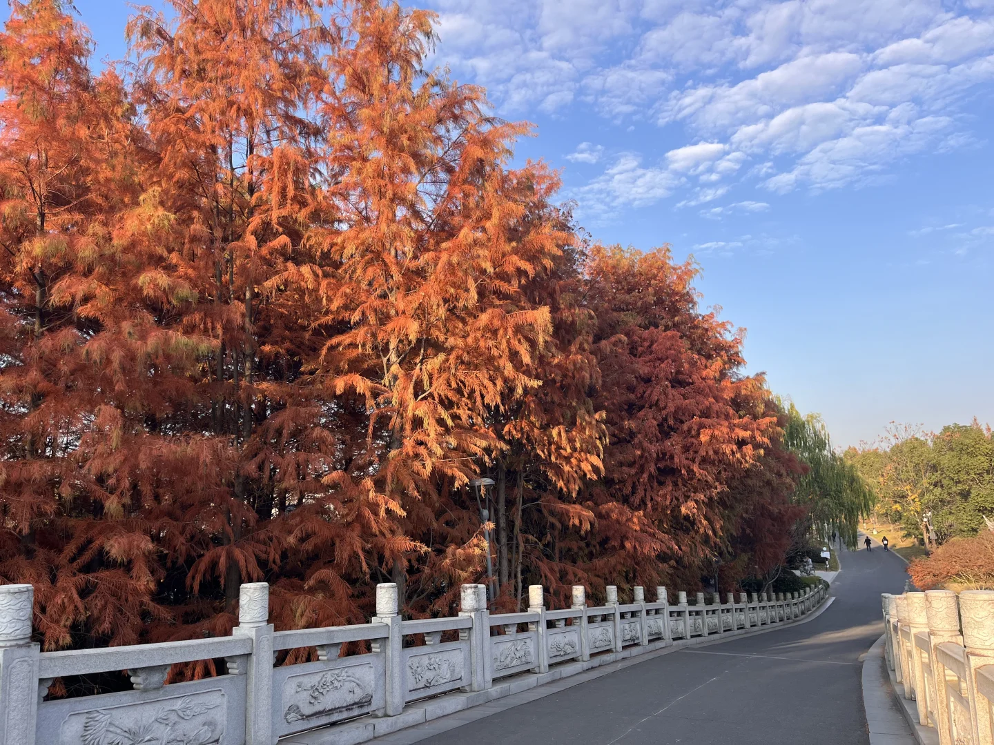 灵湖，我愿在这度过春夏秋冬🍁