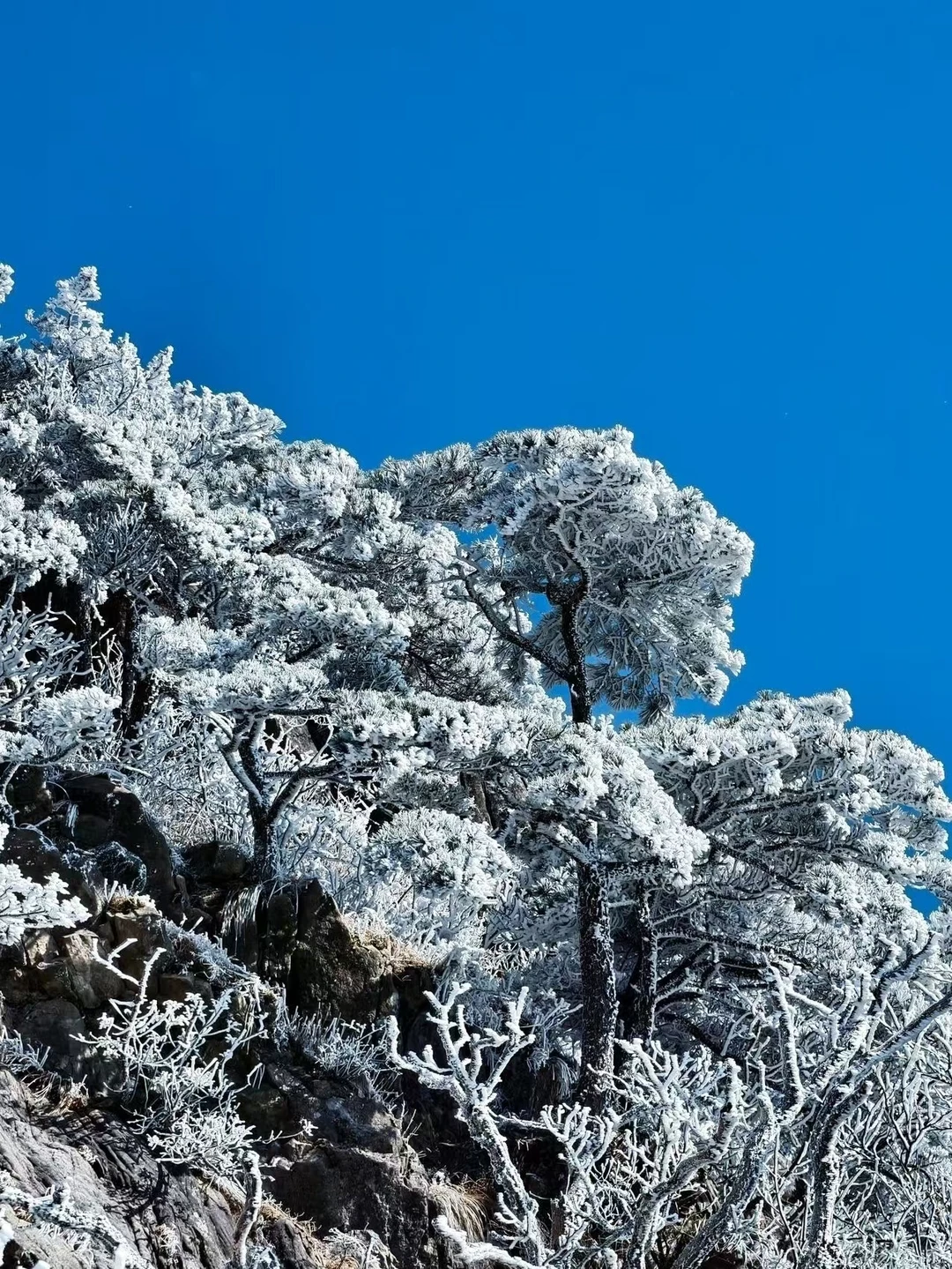 12.14📍累惨😭去莽山真心不建议去西门