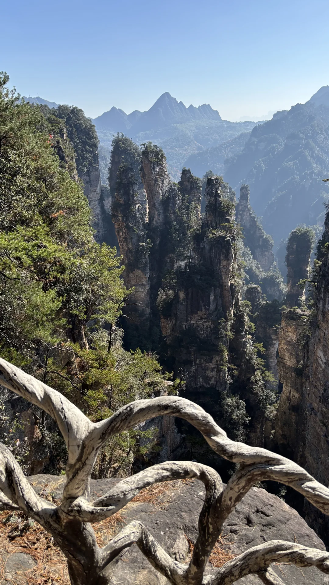 张家界国家森林公园里的小众景点 空中田园