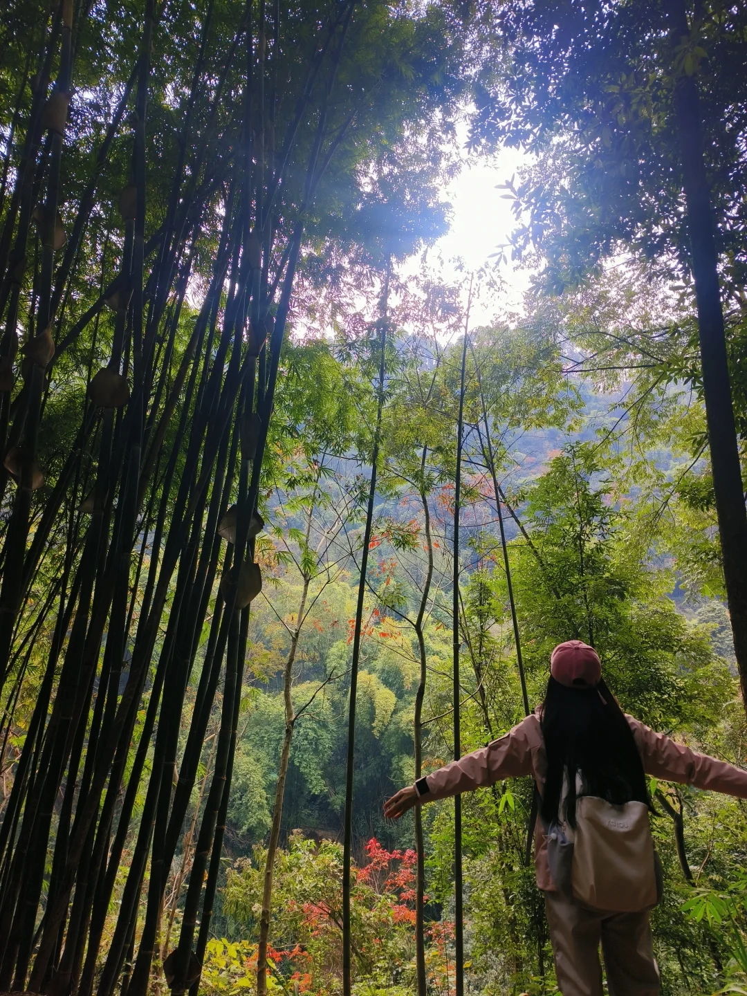 成都大巴💰14.9直达，青神1日游攻略