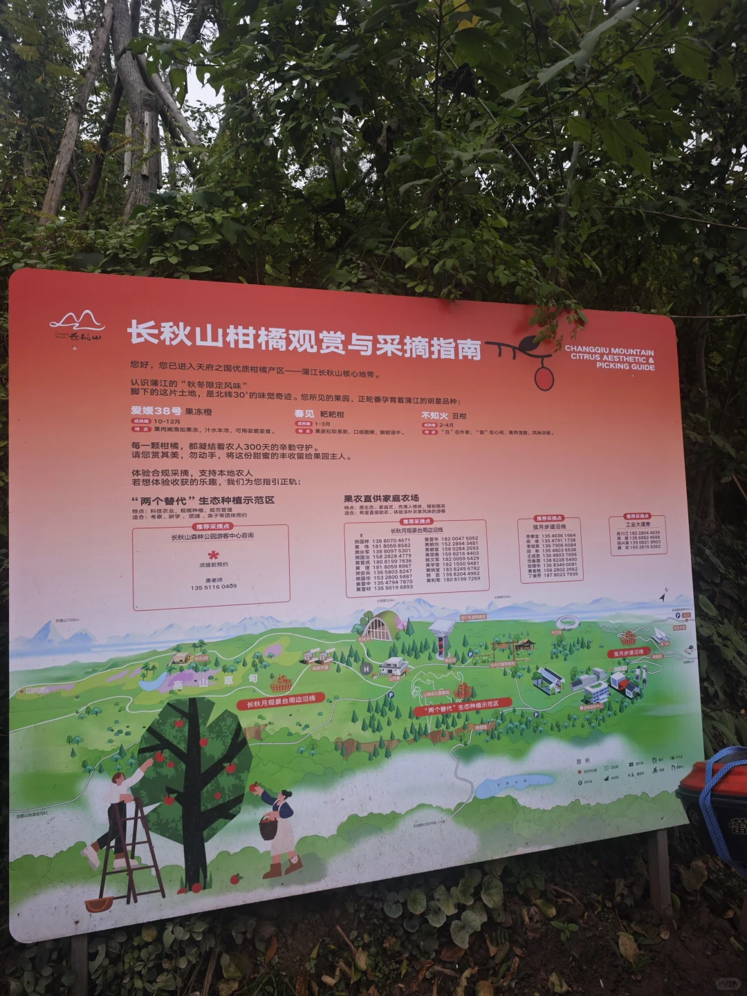 山顶的风景得自己去看看·蒲江长秋山