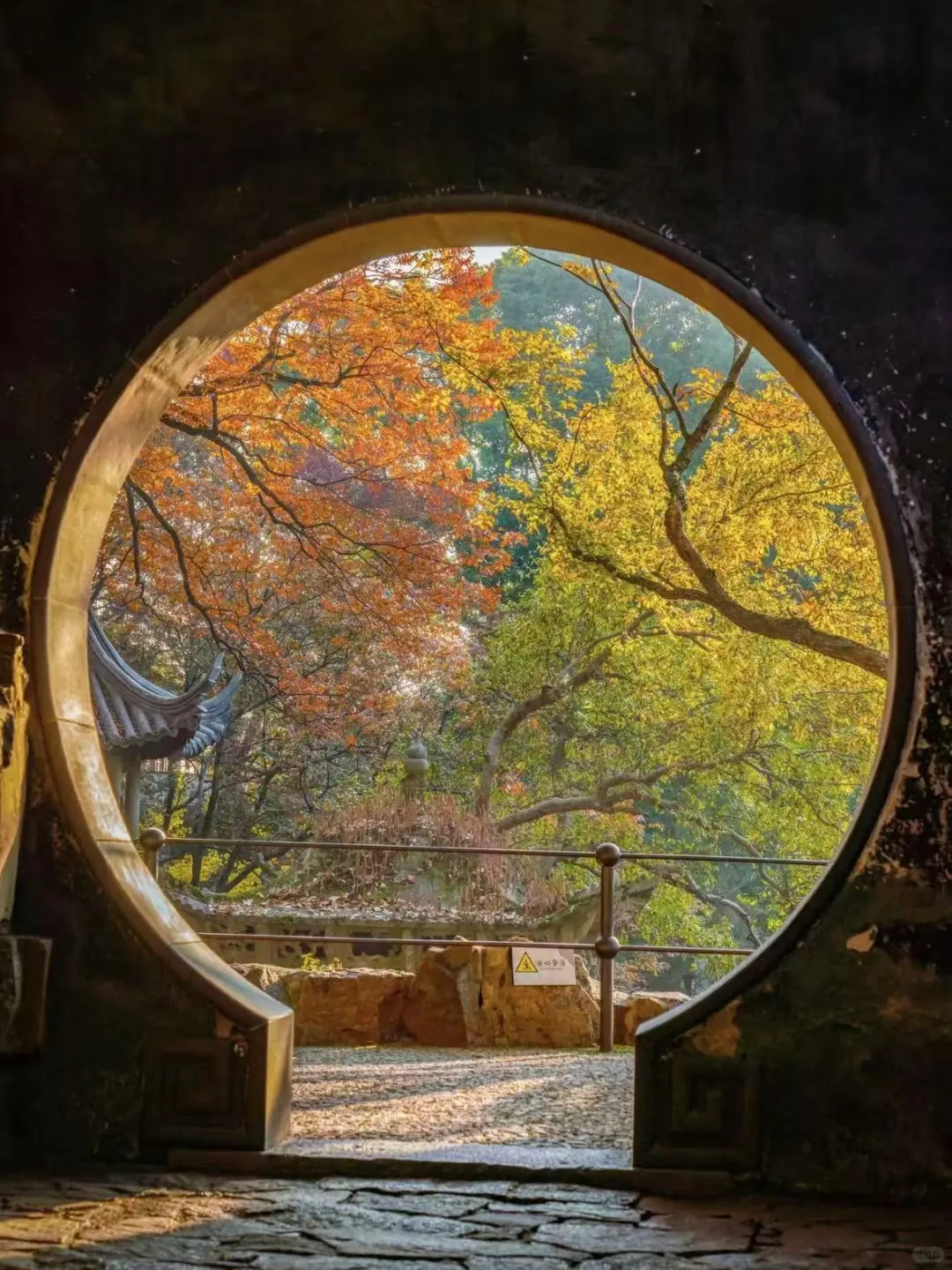 🙌来苏州必打卡景点|苏州园林秋色💕