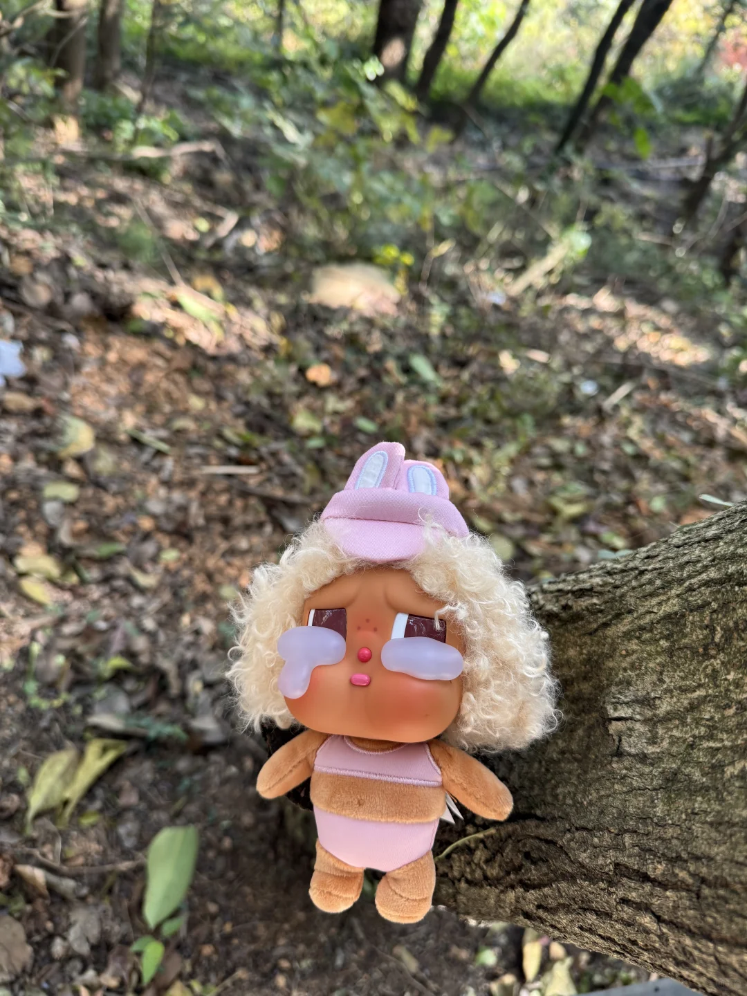 上海-苏州旺山半日爬🧗⛰️☀️