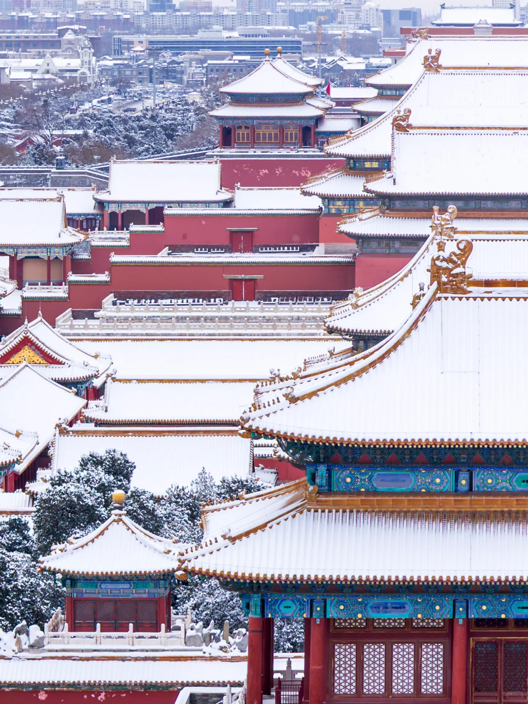 大雪后~约不上故宫的都给我去景山！
