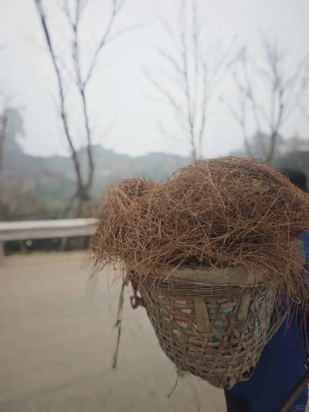 山顶的风景得自己去看看·蒲江长秋山