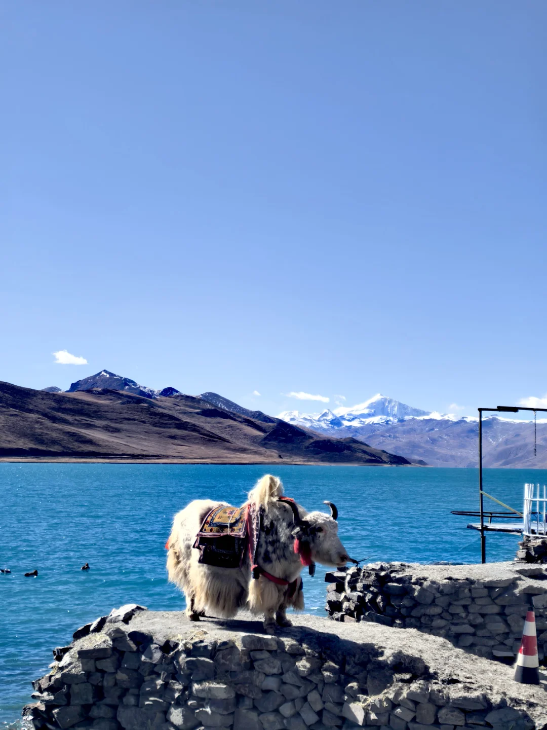 202512冬游西藏-D3-羊卓雍措&乃钦康桑雪山