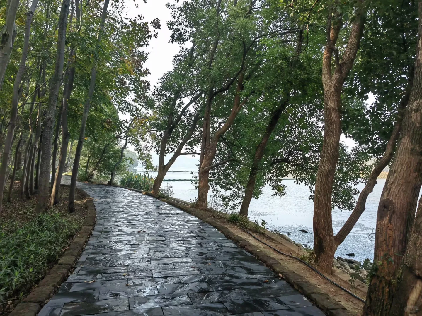 武汉东湖落雁景区旅游攻略