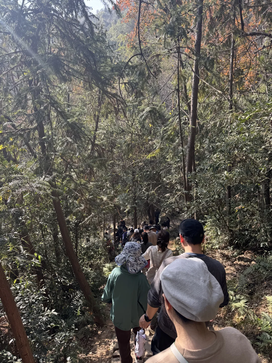 上海-苏州旺山半日爬🧗⛰️☀️