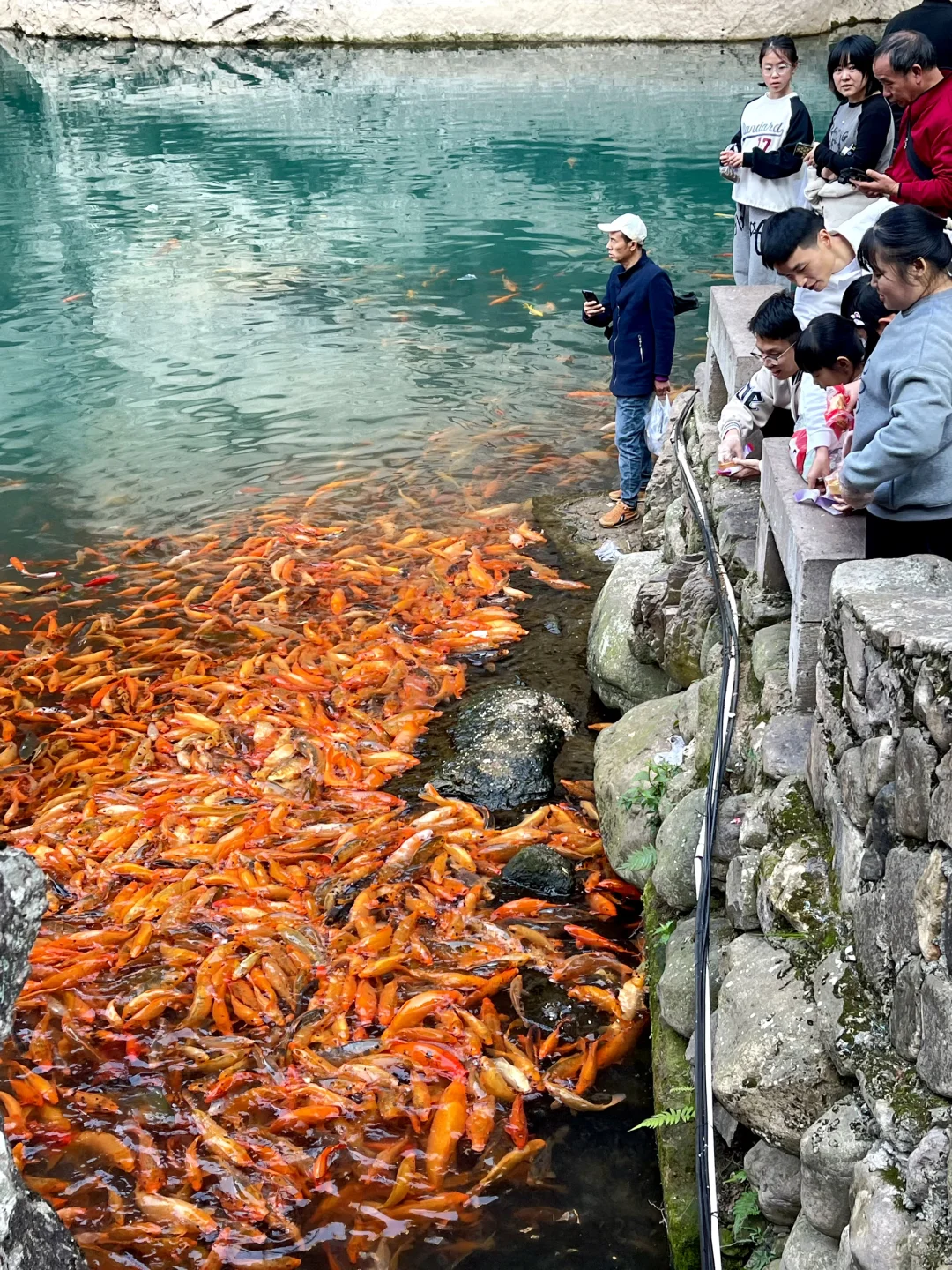 12月底楠溪江🌞游玩一日游