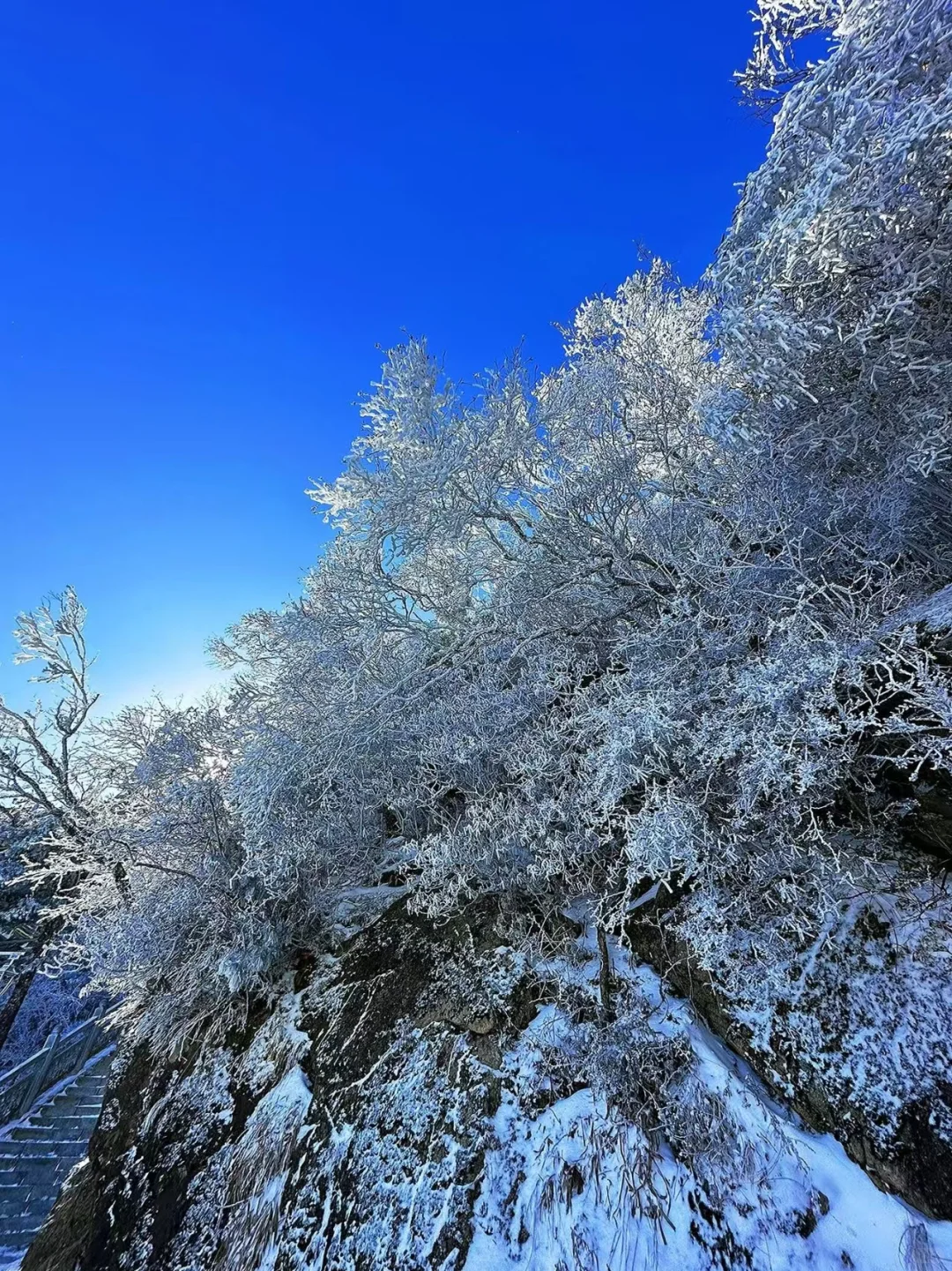 12.14📍累惨😭去莽山真心不建议去西门