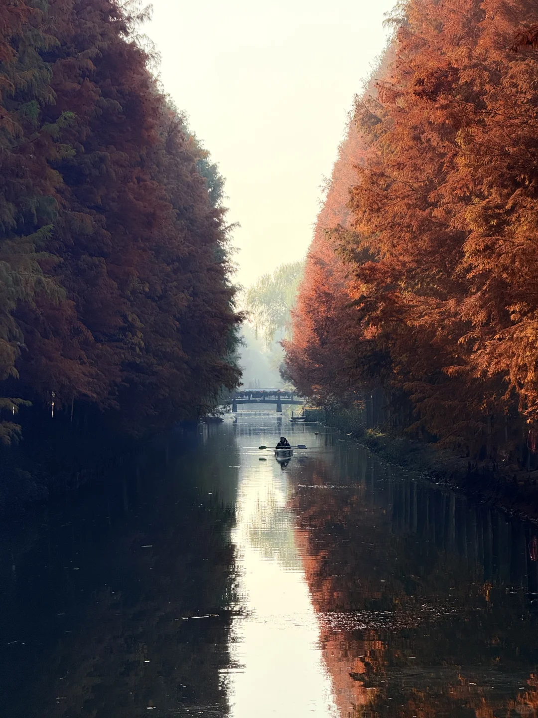 这么美的景点竟然不收费（附地图攻略）