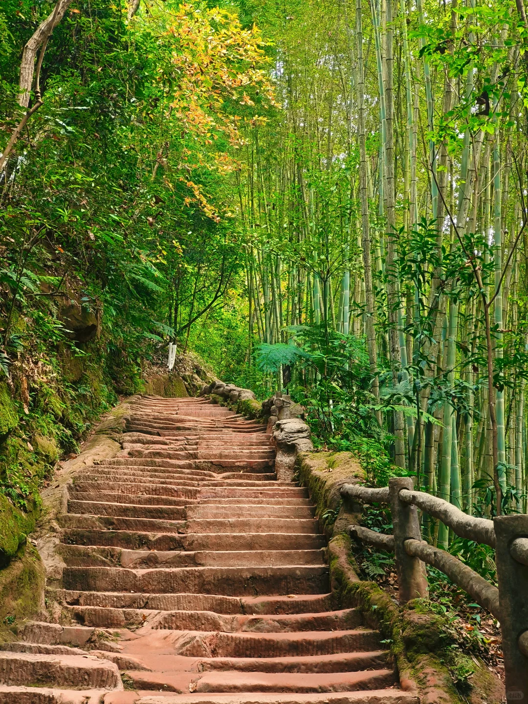 成都大巴💰14.9直达，青神1日游攻略