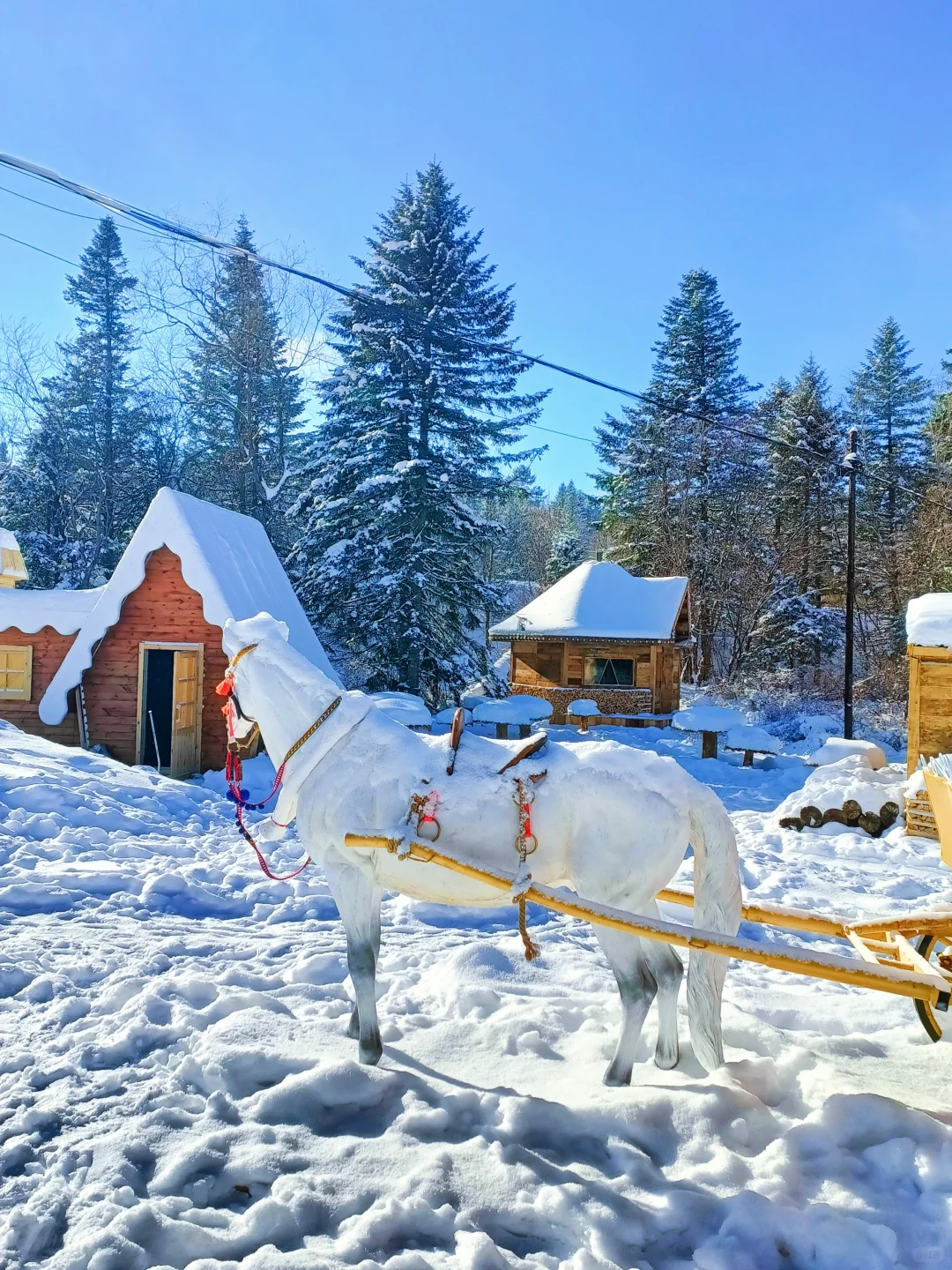 童话木屋|我找到了长白山免费小众景区！