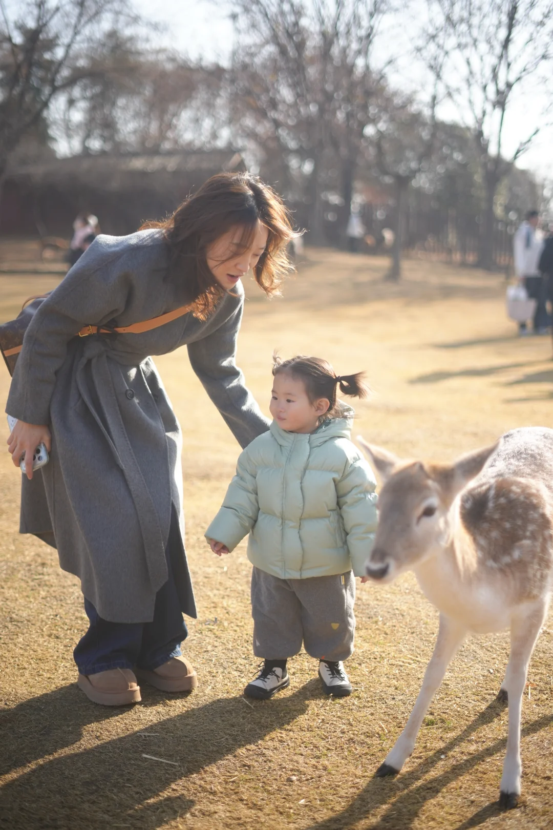 看小鹿一定要去奈良？才不是！