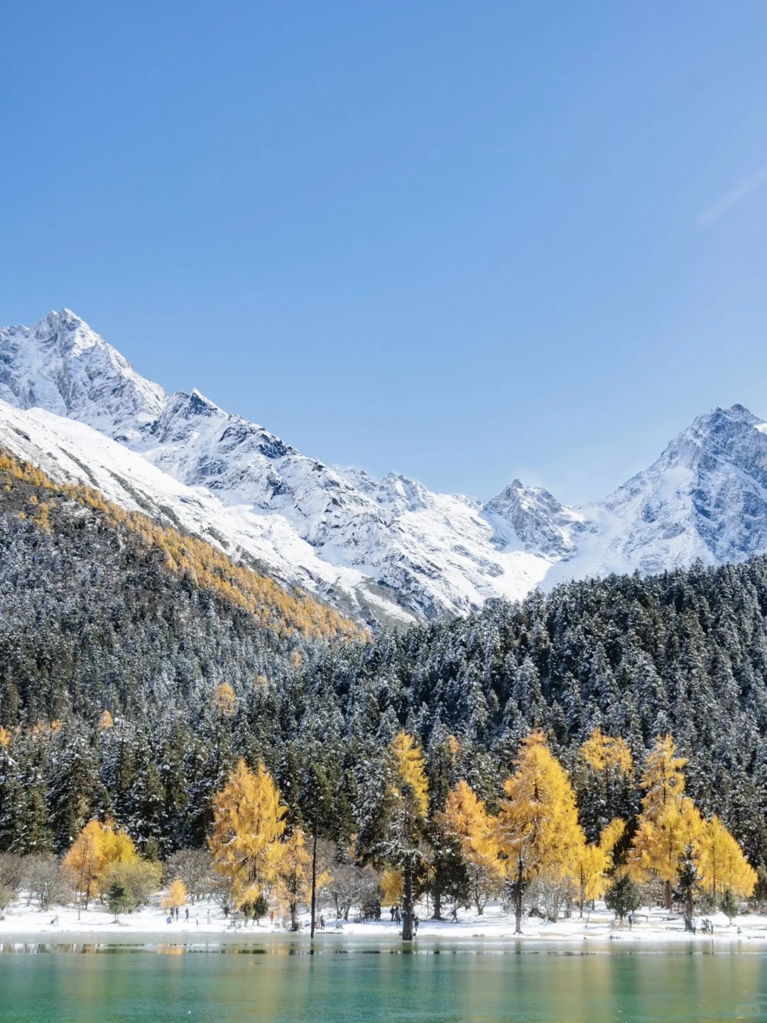 📍毕棚沟实况！188三环免费接一日游包门票